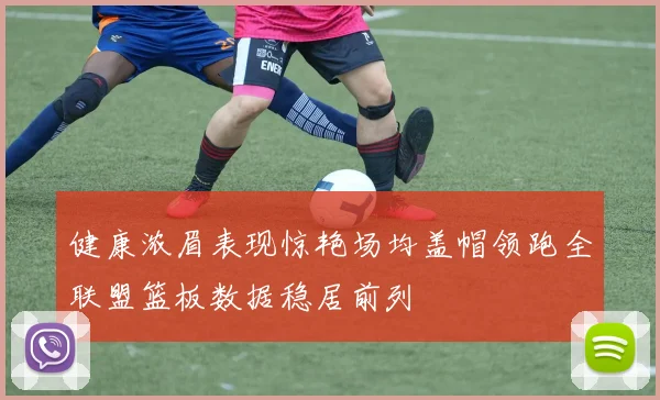 健康浓眉表现惊艳场均盖帽领跑全联盟篮板数据稳居前列