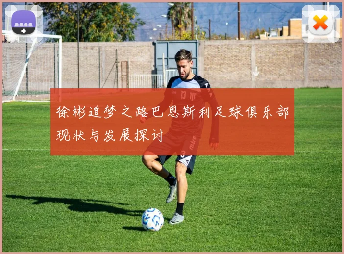 徐彬追梦之路巴恩斯利足球俱乐部现状与发展探讨