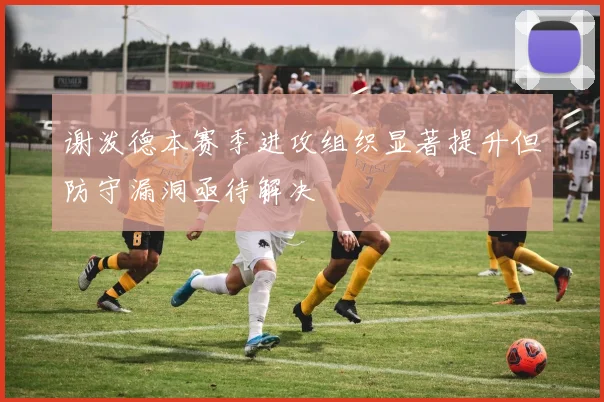 谢泼德本赛季进攻组织显著提升但防守漏洞亟待解决
